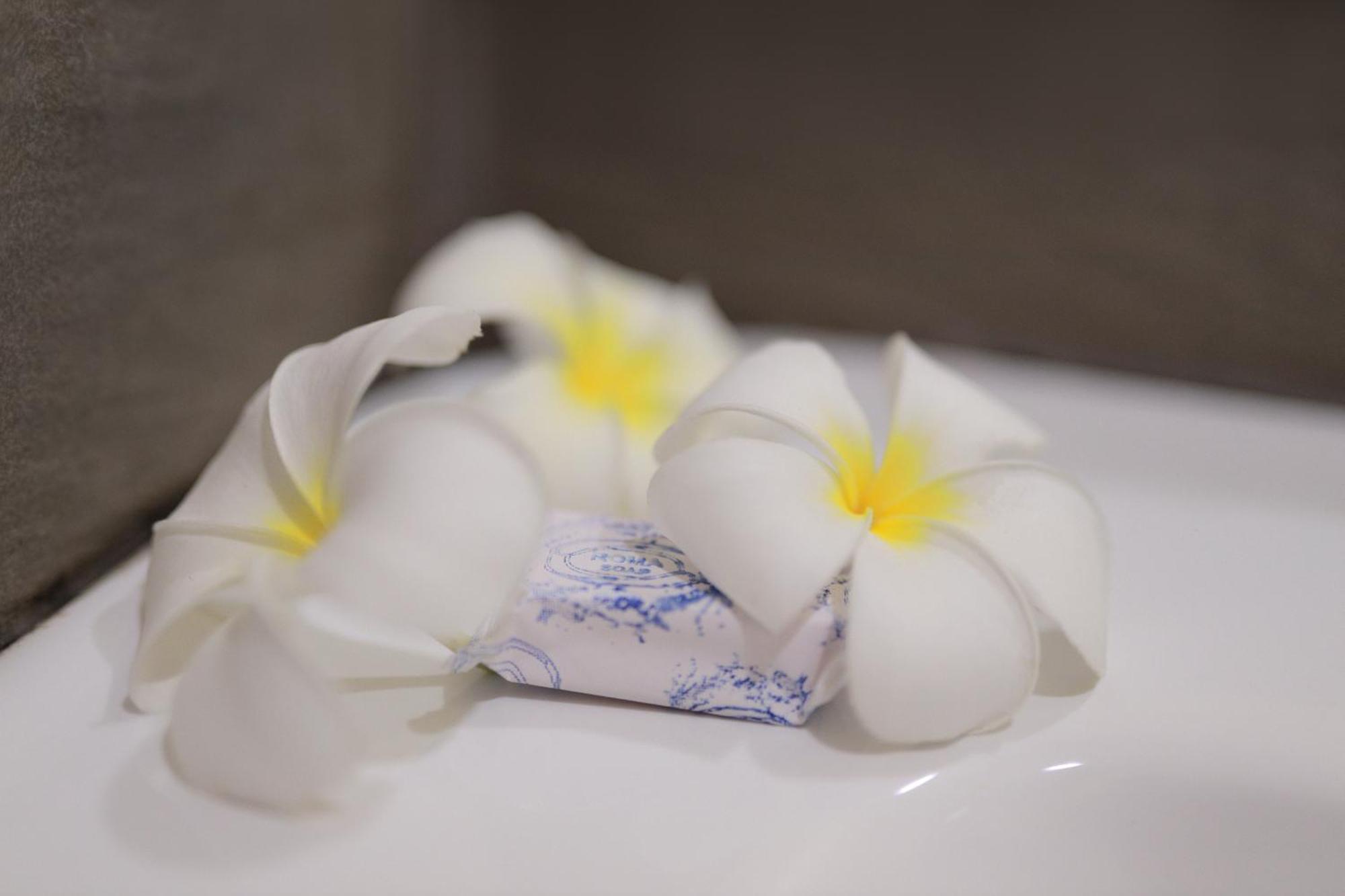 D Guest house Negombo