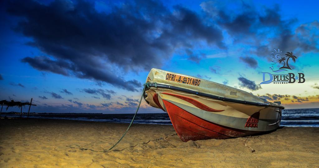 D Guest house Negombo